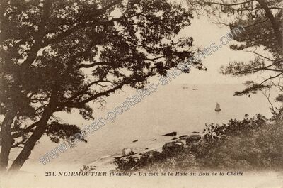 Carte postale ancienne Noirmoutier — Noirmoutier-en-l'Île (Vendée)