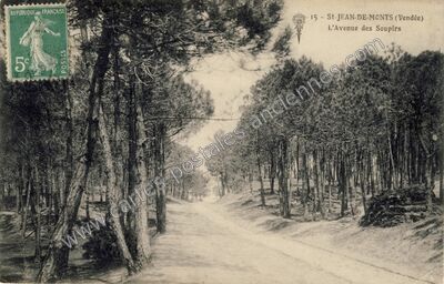 Carte postale ancienne L'Avenue des Soupirs — Saint-Jean-de-Monts (Vendée)