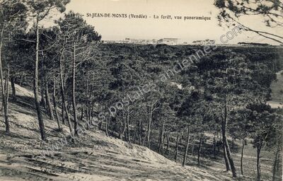 Carte postale ancienne La forêt, vue panoramique — Saint-Jean-de-Monts (Vendée)
