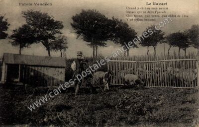 Carte postale ancienne Patois Vendeen — Non Localisée (Vendée)