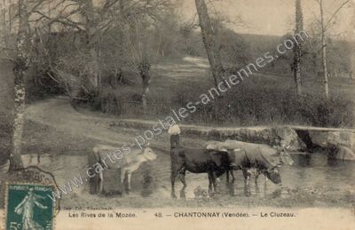 Carte postale ancienne Les Rives de la Mozée. - Le Cluzeau — Chantonnay (Vendée)