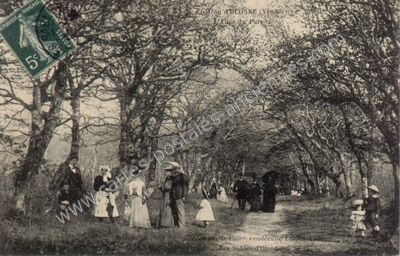 Carte postale ancienne L'Allée du Parc — Chateau d'Olonne (Vendée)