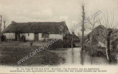 Carte postale ancienne Bourrine - Les bourrines sont des habitations maralchines en terre recouverles de… — Challans (Vendée)