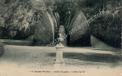 Carte postale ancienne Jardin Dumaine - L'Allée des Ifs — Luçon (Vendée)
