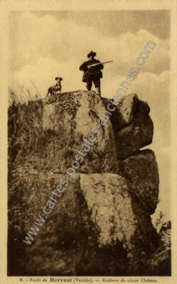 Carte postale ancienne Foret de Mervent — Mervent (Vendée)