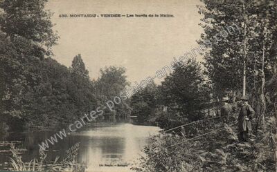 Carte postale ancienne Les bords de la Maine — Montaigu (Vendée)