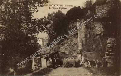 Carte postale ancienne Le Vieux Château — Montaigu (Vendée)
