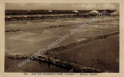 Carte postale ancienne Ile de Noirmoutier — Noirmoutier-en-l'Île (Vendée)