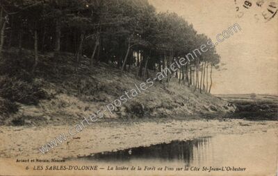 Carte postale ancienne La lisière de la Forêt ae Pins sur la Côte St-Jean-L'Orbestier — Les Sables-d'Olonne (Vendée)