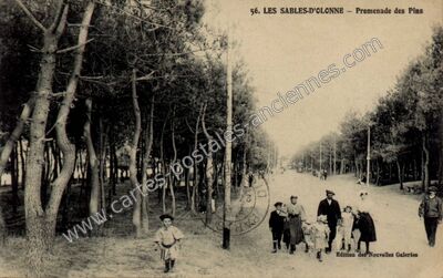 Carte postale ancienne Promenade des Pins — Les Sables-d'Olonne (Vendée)
