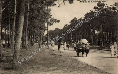 Carte postale ancienne Avenue du Casino des Pins — Les Sables-d'Olonne (Vendée)
