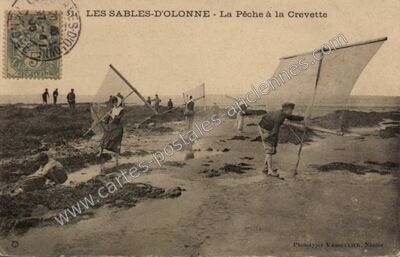 Carte postale ancienne La Pêche à la Crevette — Les Sables-d'Olonne (Vendée)