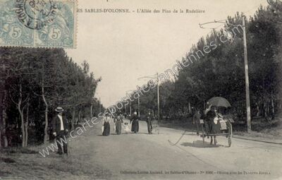 Carte postale ancienne L'Allée des Pins de la Rudelière — Les Sables-d'Olonne (Vendée)