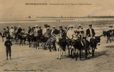Carte postale ancienne Promenade à ânes sur la Plage — Les Sables-d'Olonne (Vendée)