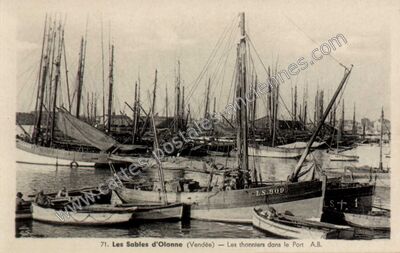 Carte postale ancienne Les thonniers dans le Port — Les Sables-d'Olonne (Vendée)