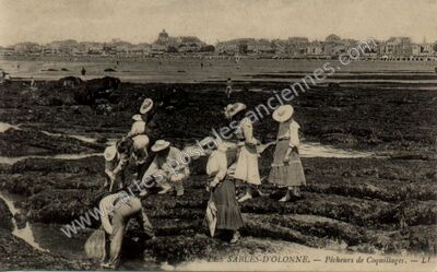 Carte postale ancienne Pêcheurs de Coquillages — Les Sables-d'Olonne (Vendée)