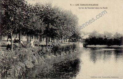Carte postale ancienne Le lac de Tanchet dans la Forêt — Les Sables-d'Olonne (Vendée)