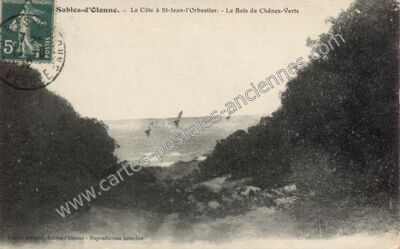 Carte postale ancienne La Côte à St-Jean-l'Orbestier. - Le Bois de Chênes-Verts — Les Sables-d'Olonne (Vendée)