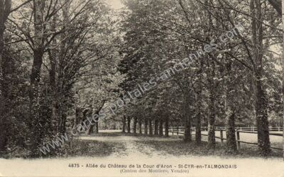 Carte postale ancienne Allée du Château de la Cour d'Aron — Saint-Cyr-en-Talmondais (Vendée)
