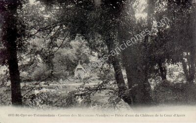 Carte postale ancienne Pièce d'eau du Château de la Cour d'Aron — Saint-Cyr-en-Talmondais (Vendée)
