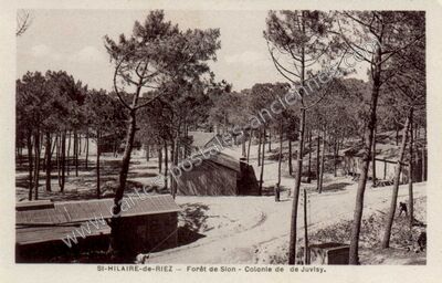 Carte postale ancienne Forêt de Sion - Colonie de de Juvisy — Saint-Hilaire-de-Riez (Vendée)