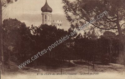 Carte postale ancienne La forêt de Pins — Saint-Jean-de-Monts (Vendée)