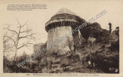 Carte postale ancienne Château de Barbe-Bleue - La Tour de Vidame — Tiffauges (Vendée)