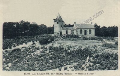 Carte postale ancienne Moulin Vieux — La Tranche-sur-Mer (Vendée)