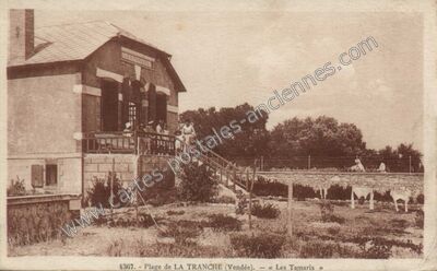 Carte postale ancienne La Tranche — La Tranche-sur-Mer (Vendée)