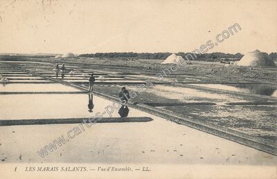 Carte postale ancienne Marais Salants — Non Localisée (Vendée)
