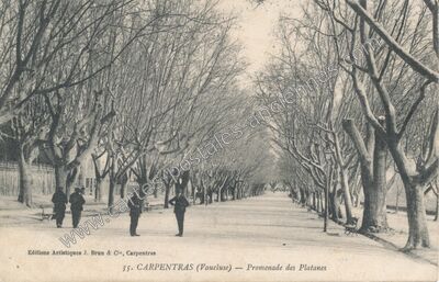 Carte postale ancienne Promenade des Platanes — Carpentras (Vaucluse)