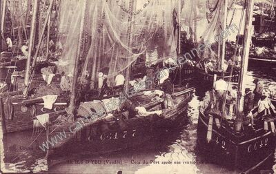 Carte postale ancienne Ile d'Yeu — Saint Martin de la (Vaucluse)