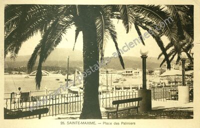 Carte postale ancienne Place des Palmiers — Sainte-Maxime (Var)