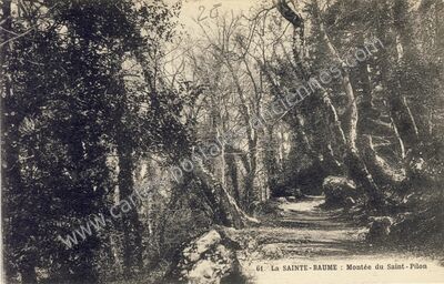 Carte postale ancienne La Ste Baume — Saint Maximin la Sainte (Var)