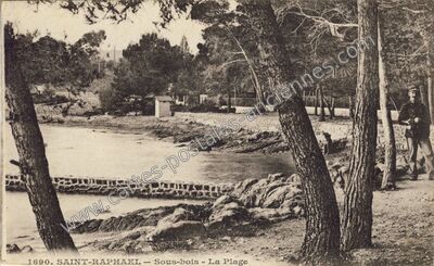 Carte postale ancienne Sous-bois - La Plage — Saint-Raphaël (Var)