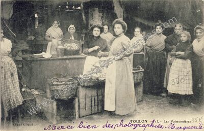 Carte postale ancienne Les Poissonnières — Toulon (Var)