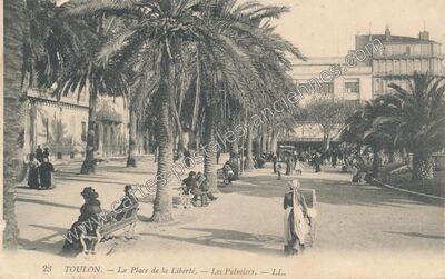 Carte postale ancienne La Place de la Liberté. — Les Palmiers — Toulon (Var)