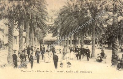Carte postale ancienne Place de la Liberté, Allée des Palmiers — Toulon (Var)