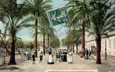 Carte postale ancienne L'Allée des Palmiers. Place de la Liberté — Toulon (Var)