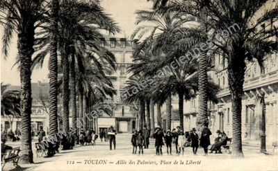 Carte postale ancienne Allée des Palmiers, Place de la Liberté — Toulon (Var)