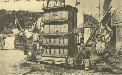 Carte postale ancienne Presseurs de fourrage — Caylus (Tarn-et-Garonne)