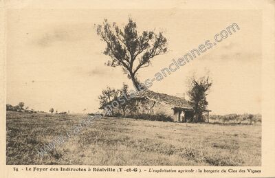 Carte postale ancienne Le Foyer des Indirectes : l'exploitation agricole, la bergerie du Clos des Vignes — Réalville (Tarn-et-Garonne)