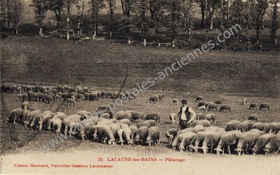 Carte postale ancienne Lacaune les Bains — Lacaune (Tarn)
