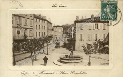 Carte postale ancienne Le Tarn — Mazamet (Tarn)