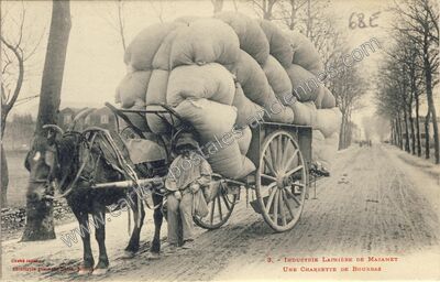 Carte postale ancienne Industrie lainière / Une charrette de bourras — Mazamet (Tarn)