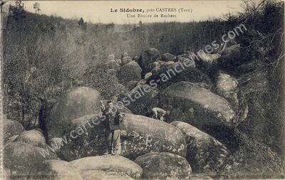 Carte postale ancienne Le Sidobre — Saint Salvy de la (Tarn)