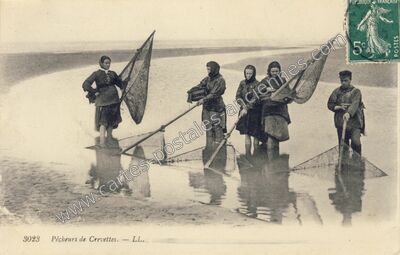 Carte postale ancienne Pecheurs de Crevettes — Non Localisée (Somme)