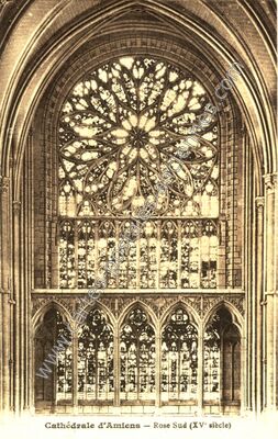 Carte postale ancienne Amiens Cat — Amiens (Somme)