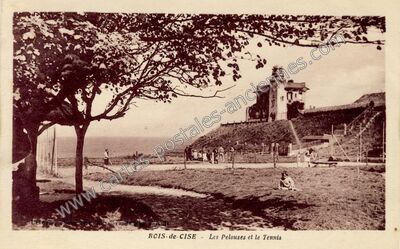 Carte postale ancienne Bois de Cise — Ault (Somme)