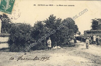 Carte postale ancienne La Mare aux canards — Cayeux-sur-Mer (Somme)